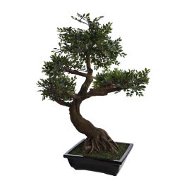ELM BONSAI TREE 93CM GREEN