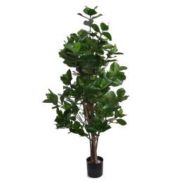 CLUSIA TREE 120CM GREEN