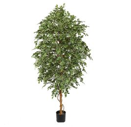 FICUS FOLIA A-TREE 210CM WHITE GREEN