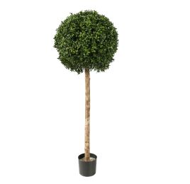 BOXWOOD BALL 107CM GREEN