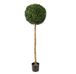 BOXWOOD BALL 135CM GREEN
