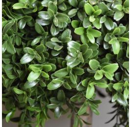 BOXWOOD BALL 51CM GREEN