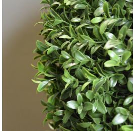 BOXWOOD BALL 72CM GREEN