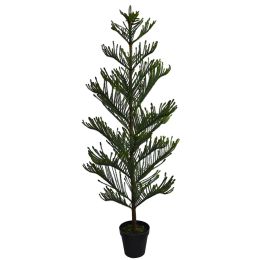 NORFOLK PINE TREE 180CM GREEN