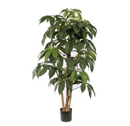 SCHEFFLERA TREE 145CM GREEN