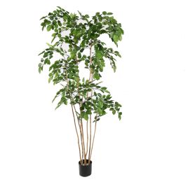 BEECH TREE 210CM GREEN