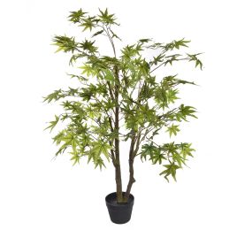 JAPANESE MAPLE 125CM GREEN