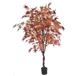 JAPANESE MAPLE 180CM BURGUNDY