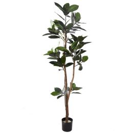 SLIM RUBBER PLANT 180CM GREEN