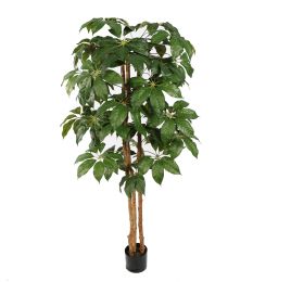 SCHEFFLERA 150CM GREEN