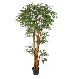 TROPICAL RUSCUS TREE 150CM GREEN