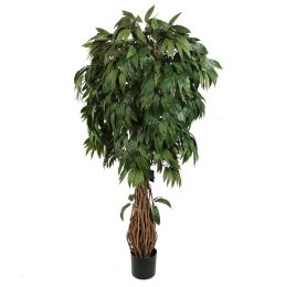 MULTI VINE MANGO 180CM GREEN