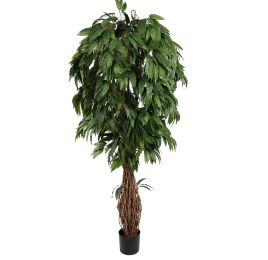 MULTI VINE MANGO 210CM GREEN