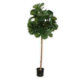 FIDDLE LEAF TREE 150CM GREEN