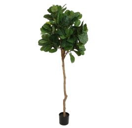 FIDDLE LEAF TREE 180CM GREEN
