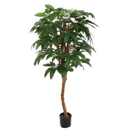 PACHIRA TREE 150CM GREEN