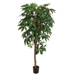 PACHIRA TREE 180CM GREEN