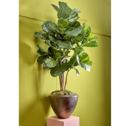 FIDDLE LEAF TREE 160CM GREEN
