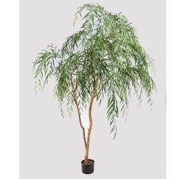 CHINESE WILLOW TREE 250CM GREEN