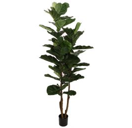 FIDDLE LEAF TREE 200CM GREEN