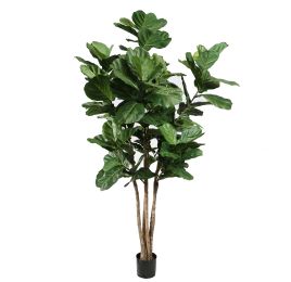 FIDDLE LEAF TREE 250CM GREEN
