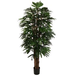 RHAPSIS PALM X6 200CM GREEN