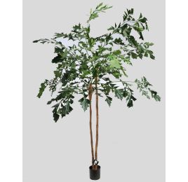 FISHTAIL PALM TREE 270CM GREEN
