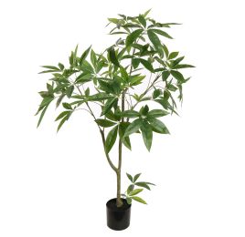PACHIRA 120CM GREEN