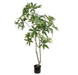 PACHIRA 150CM GREEN