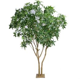 PACHIRA GIANT 290CM GREEN
