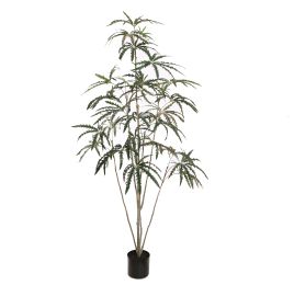 SLIM ARALIA 150CM GREEN