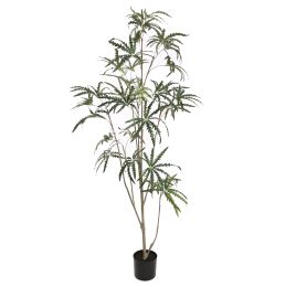SLIM ARALIA 180CM GREEN