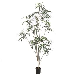 SLIM ARALIA 210CM GREEN