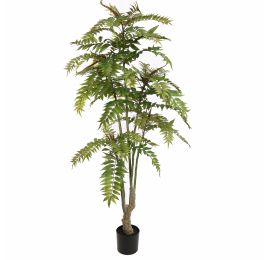 CEDRELA TREE 210CM GREEN