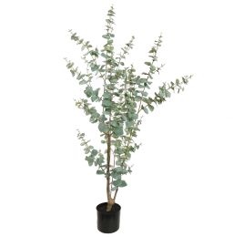 EUCALYPTUS GLOBULUS TREE 150CM GREEN