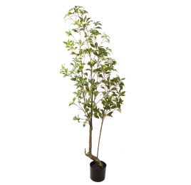 JAPONICA TREE 170CM GREEN