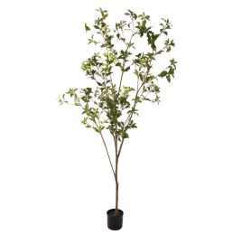 JAPONICA TREE 210CM GREEN
