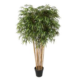 TOPIARY BAMBOO 180CM GREEN