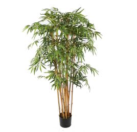 BAMBOO FANCY 150CM GREEN