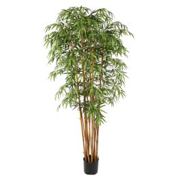BAMBOO FANCY 210CM GREEN