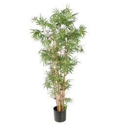 JAPANESE BAMBOO X 9 145CM GREEN