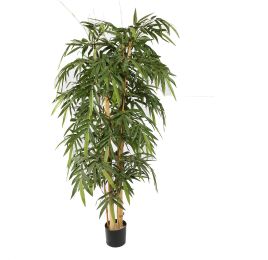 BAMBOO W/GIANT TRUNKS 170CM GREEN