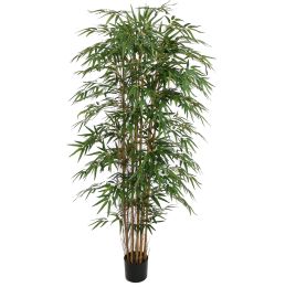 BAMBUSA BAMBOO 180CM GREEN