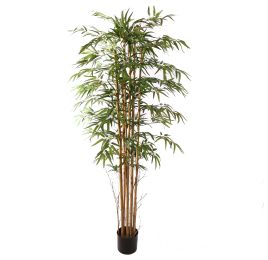 MULTI BAMBUSA BAMBOO 180CM GREEN