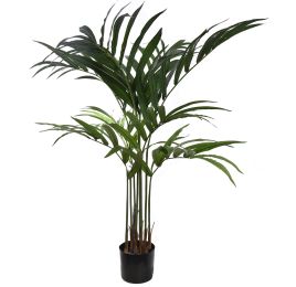 KENTIA PALM X8 120CM GREEN