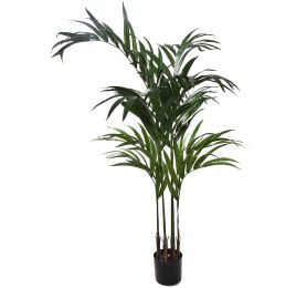 KENTIA PALM X10 150CM GREEN