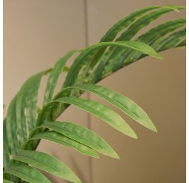 HAWAIIAN PALM 150CM GREEN