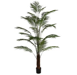 GIANT ARECA PALM X 24 270CM (K.D. packing)