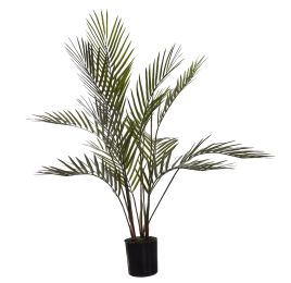 ARECA PALM IN POT 75CM GREEN