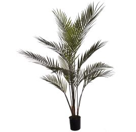 ARECA PALM IN POT 100CM GREEN